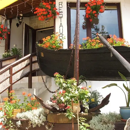 Ancora Guest house *